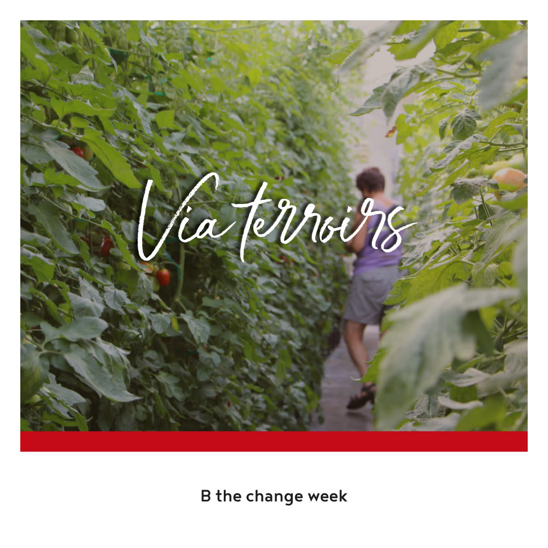 Via terroirs